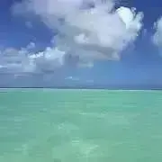 あゆゆ11の画像