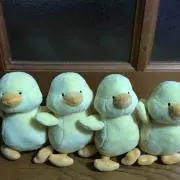 ちょら