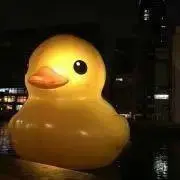 ⌣̈⃝ こりん ⌣̈⃝断捨離中の画像