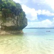 にこの画像