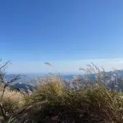 断捨離中♪の画像