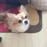 宙さんの画像