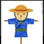 カカシの画像
