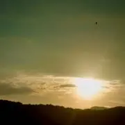 ふにぇたの画像
