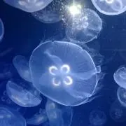 ☆hrhk☆