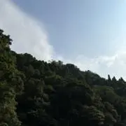 はるの画像