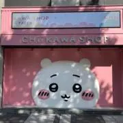 ぽんの画像