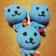 クーの画像