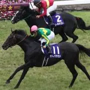 みきの画像