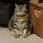 うね