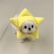 ぺこりんの画像