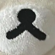 展祭