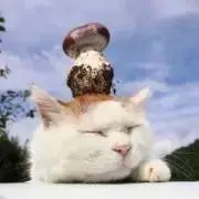 845