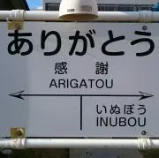 シゲさんの画像
