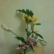 flowerの画像