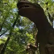 ゴン太くん