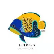 kazu8140の画像