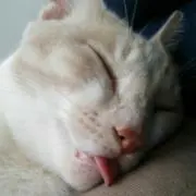 ちのちゃん