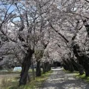 ヤマ