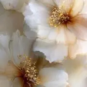 brown88の画像