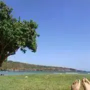 merの画像