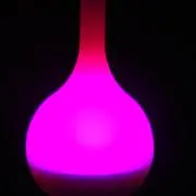 にゃーこの画像