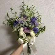 かみの画像