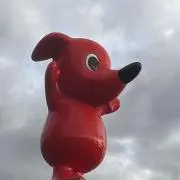まぁさの画像