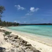 aoの画像