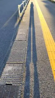 ときNOたねの画像