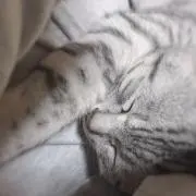 Ｍの画像