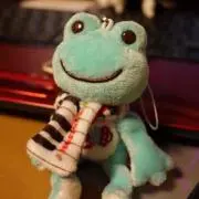 ピクルスの画像