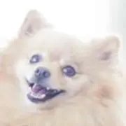ちゃんみの画像