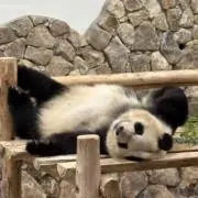 なっちゃんの画像