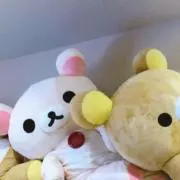 maruの画像