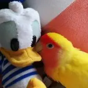 アイ⭐ママ【プロフ必読して下さい！】の画像