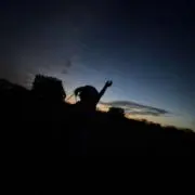 YOUの画像