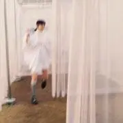 ポンたの画像