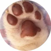 ⭐️サファイア358⭐️の画像