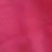 ぽぽんの画像