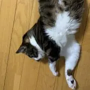 光晴工房