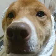 ふ～みんの画像
