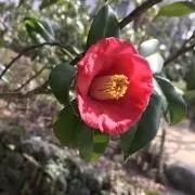 ヨシ♬
