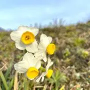 酒屋の画像