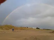 おりーぶの画像