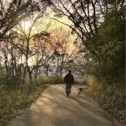 ラッセの画像