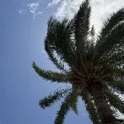 Jomy_Sunの画像