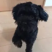 フレア