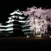 紫式部