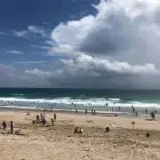 のりもとの画像